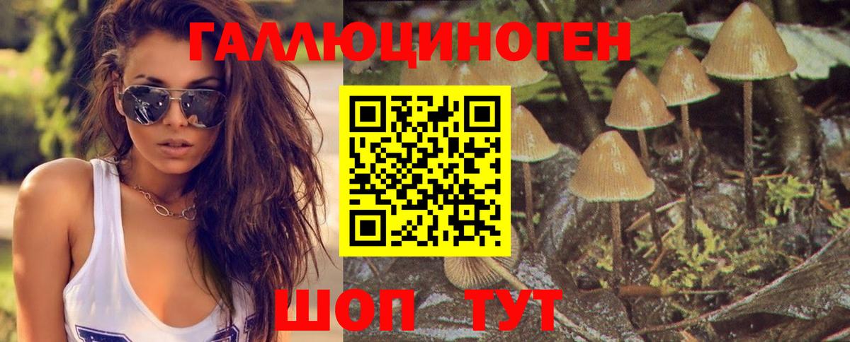 Махачкала  Галлюциногенные грибы Magic Shrooms  Вход с VPN 