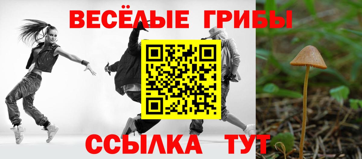 Галлюциногенные грибы мухоморы Махачкала